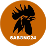 SB24